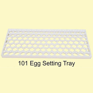 101-eggs setting tray